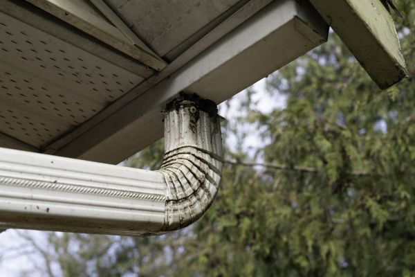 Cost of Roof Drain Replacement in Homestead